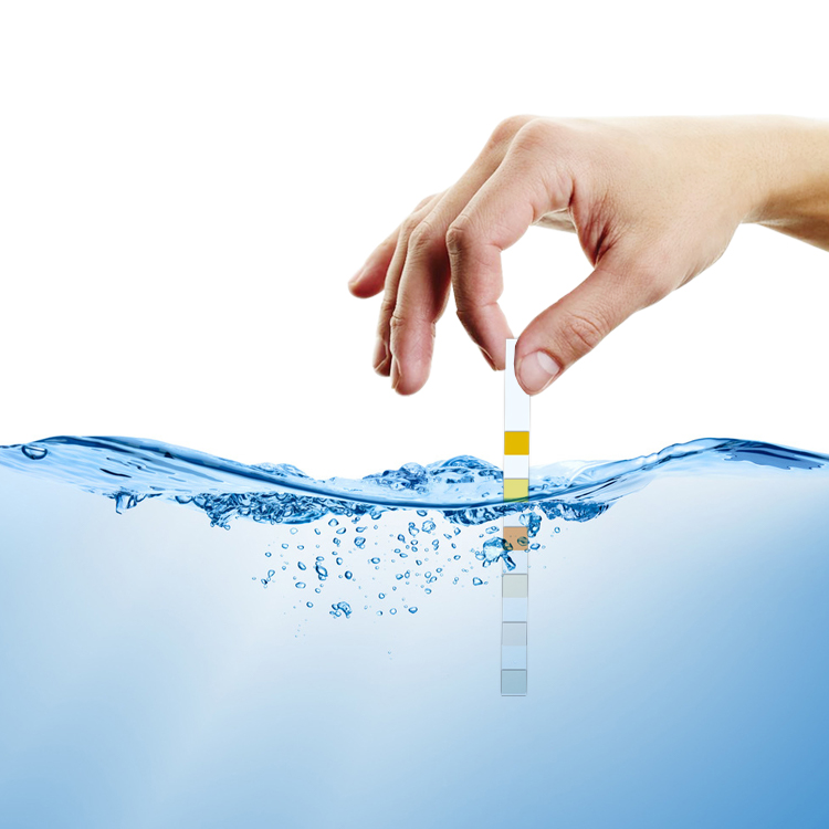 Tira de prueba de 6 vías para la calidad del agua del jacuzzi