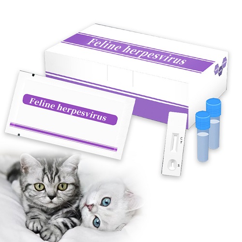 Feline Herpesvirus Rapid Test Kit