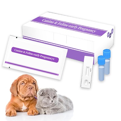THE EASY WAY TO DETECT CANINE/FELINE PREGNANCY
