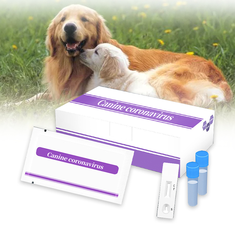 Canine coronavirus Rapid Test Kit
