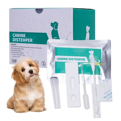Canine distemper virus （cdv）test kit