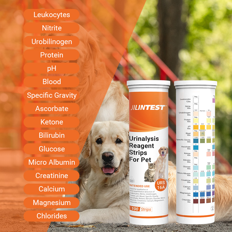 URS16A Urineanalyse Reagens Teststrips