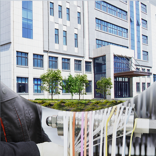 Jilin Test Bio-Electron Co., Ltd.