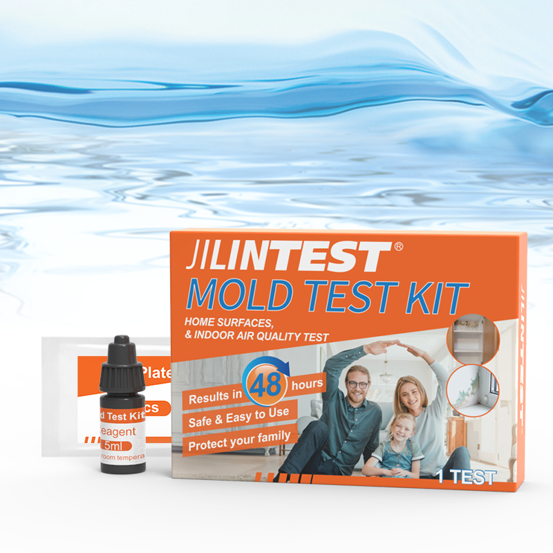 Protect Your Home and Loved Ones with JILINTEST Mold Test Kit