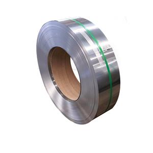 Precision Stainless Steel Strip