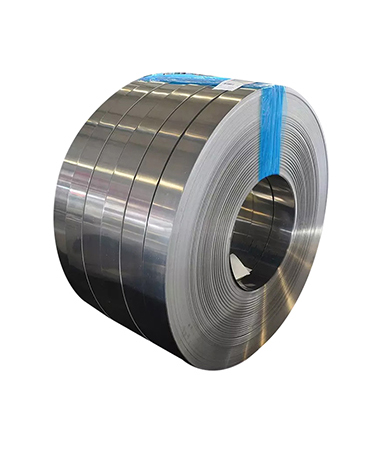 Stainless Steel Strip