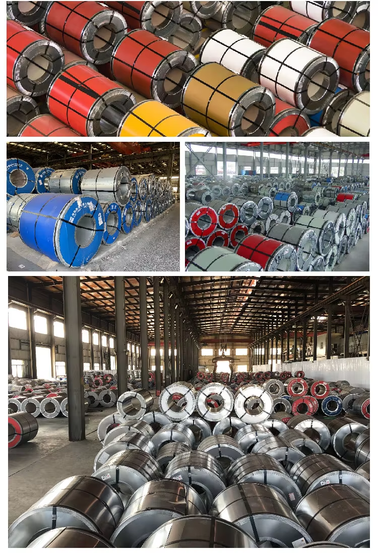 ppgi color coated coil