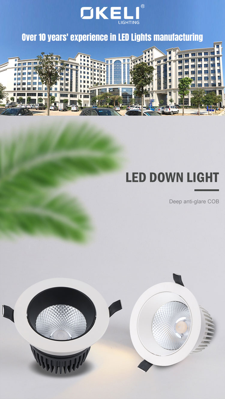 LED Down Light