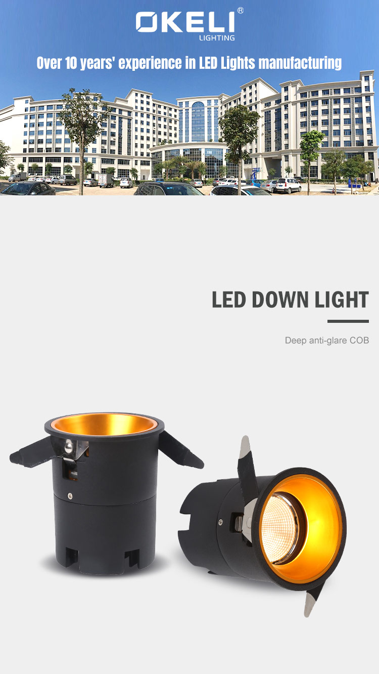 LED Down Light