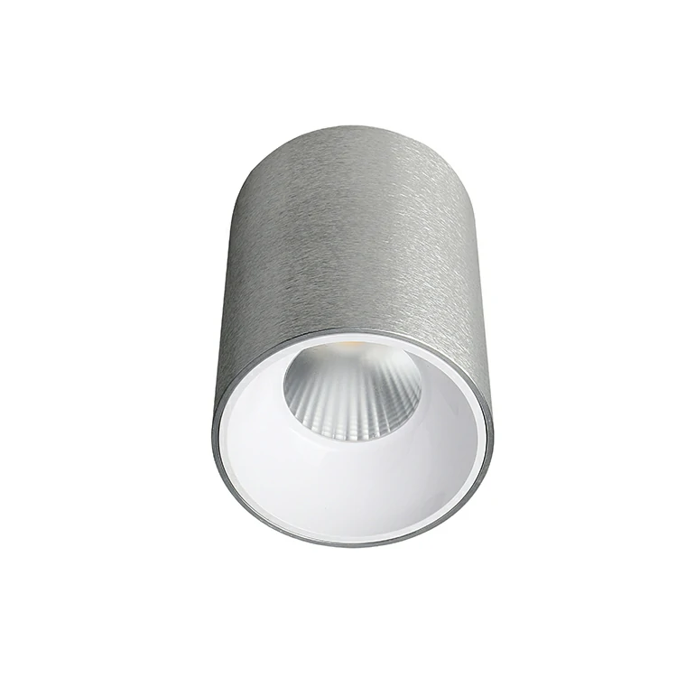 LED DALI Cylinder Light
