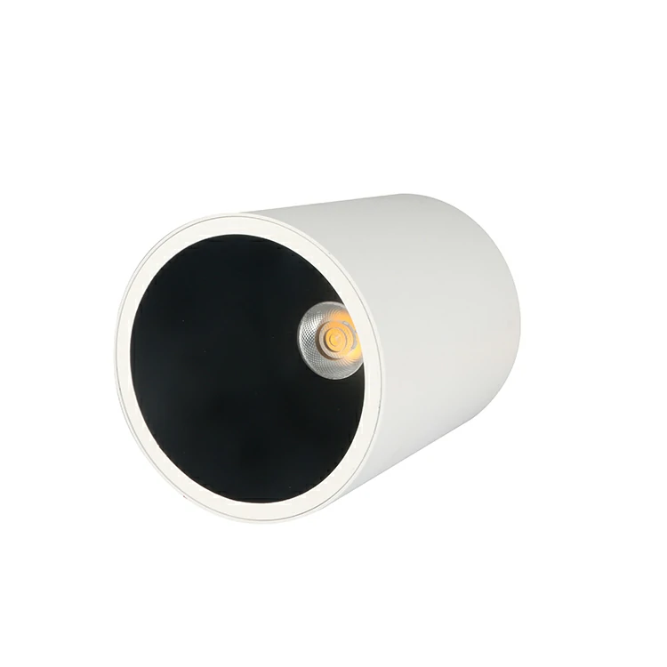 Surface Mounted Cylinder Light