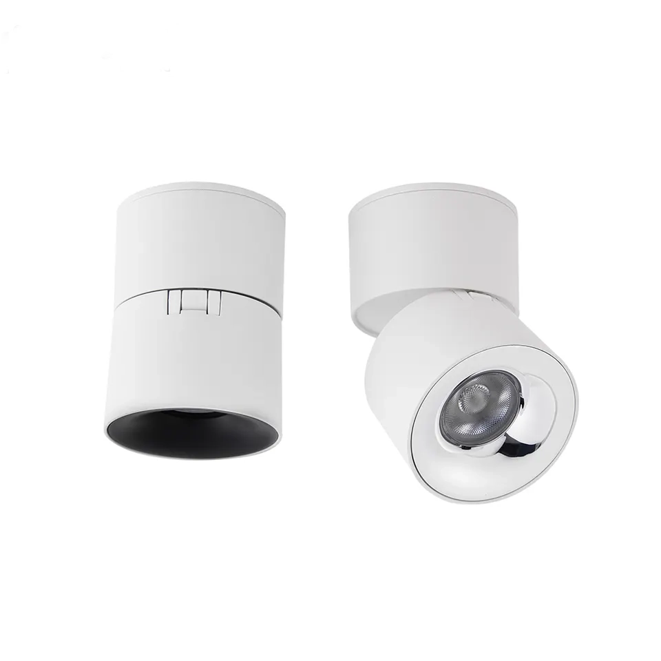 Adjustable Surface Mounted Downlight