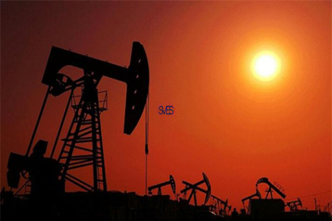 How to Prepare for the OPEC+ Meeting Outcome and Boost SVES Oilfield Supply Co., Ltd Business