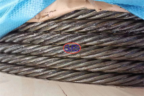 SVES Steel Wire Rope delivered to oversea client