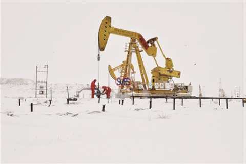 Information About Wellhead Handling Tools