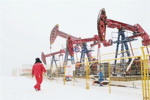 How SVES Oilfield Supply Co., Ltd Can Help You Boost Your Production in Pre-Salt Oil Fields