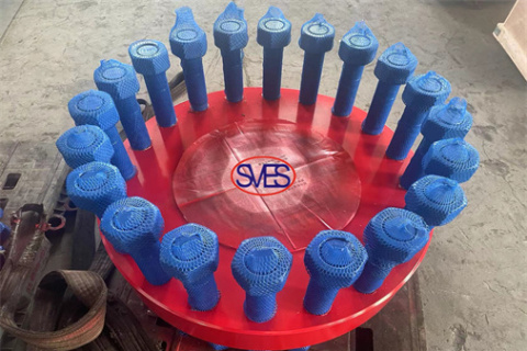 SVES Flange delivered to oversea client