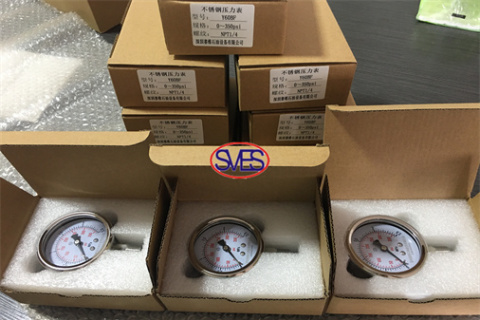 SVES 2 Pressure gauge delivered to oversea client