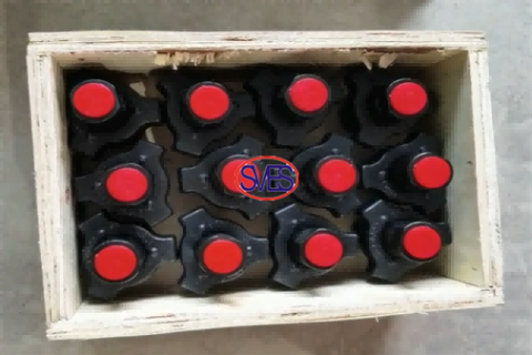 SVES 1'' NPT hammer union fittings delivered to oversea client