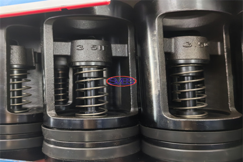 SVES Float Valve delivered to Oversea client