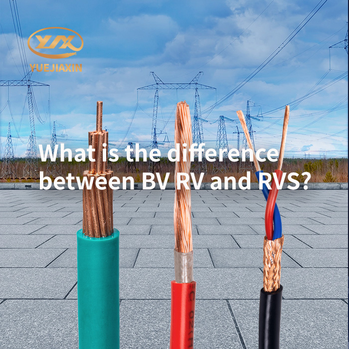 What is the difference between BV RV and RVS?
