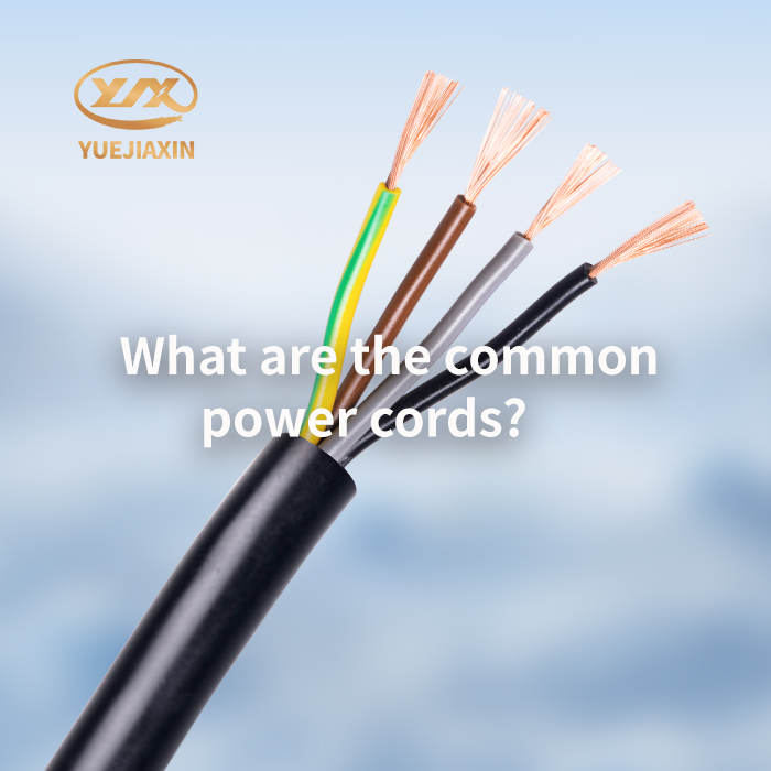 What are the common power cords?