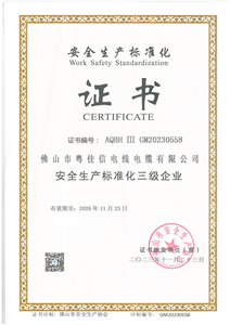 Work Safety Standardization CERTIFICATE