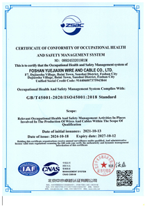 Certificate Of Conformity Of Occupational Health And Safety Management System