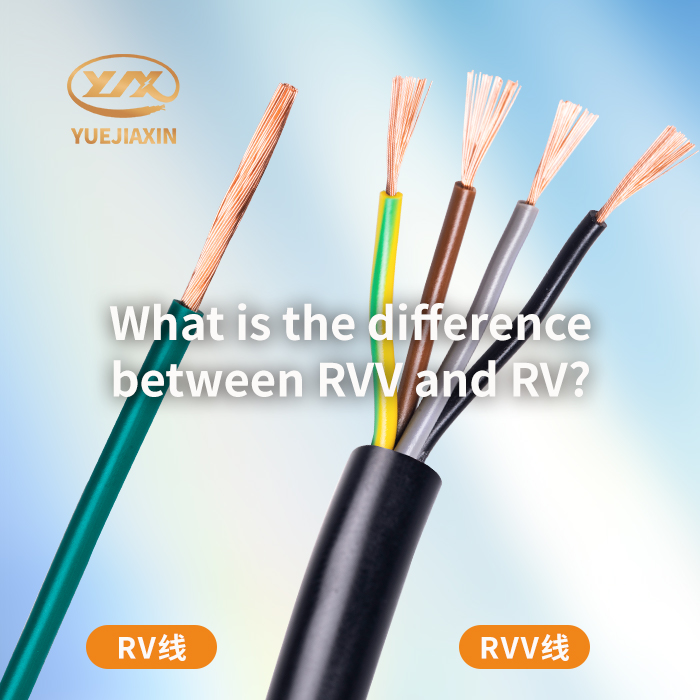 What is the difference between RVV and RV?