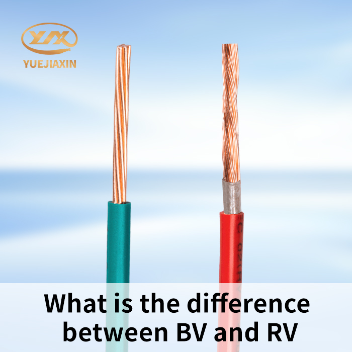 What is the difference between BV and RV