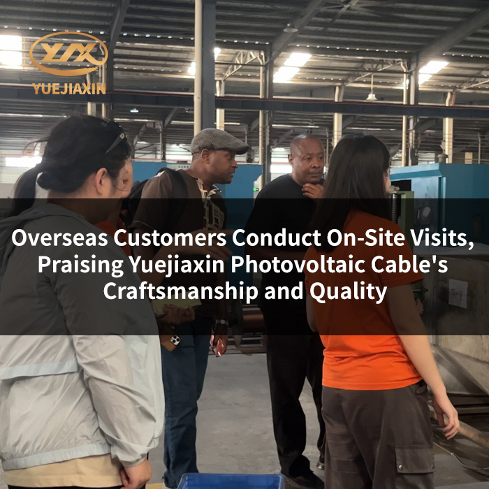 Customer Testimonials | Overseas Customers Conduct On-Site Visits, Praising Yuejiaxin Photovoltaic Cable's Craftsmanship and Quality