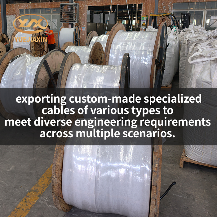 Exporting custom-made specialized cables to meet diverse engineering requirements across multiple scenarios.