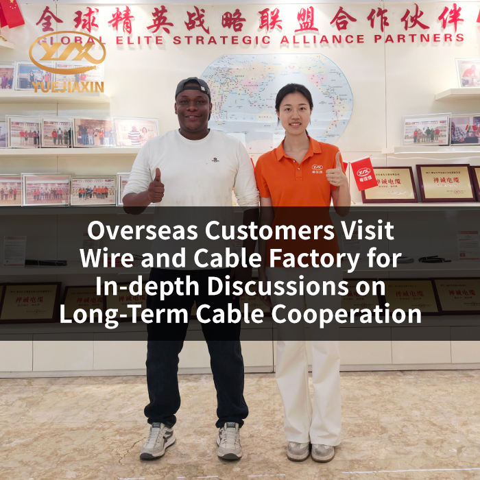 Overseas Customers Visit Wire and Cable Factory for In-depth Discussions on Long-Term Cable Cooperation