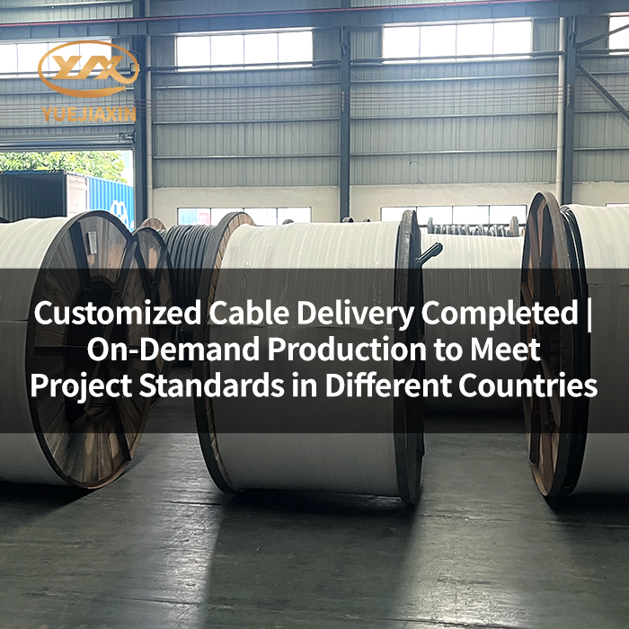 Customized Cable Delivery Completed | On-Demand Production to Meet Project Standards in Different Countries