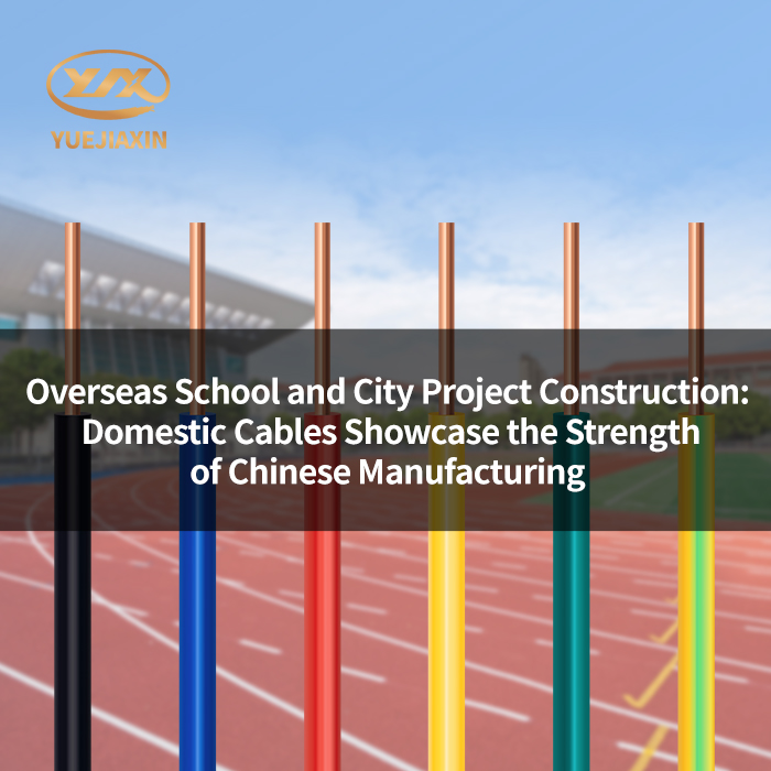 Overseas School and City Project Construction: Domestic Cables Showcase the Strength of Chinese Manufacturing