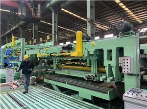 pendulum shear cut to length line