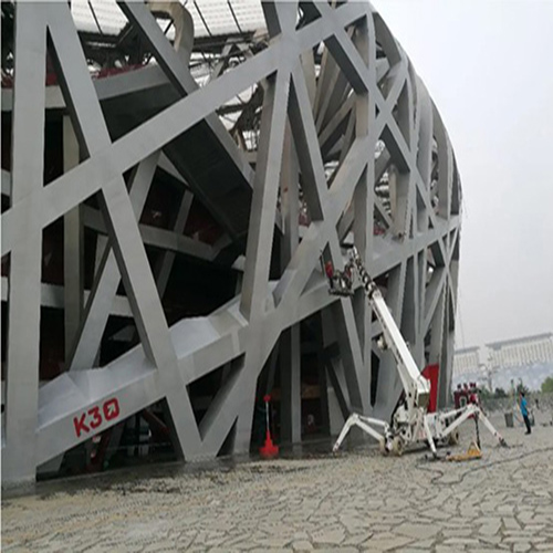 Secret released of the new design of Bird's nest