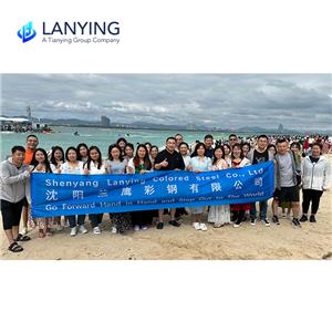 The staff of Shenyang Lanying went to Sanya for a holiday
