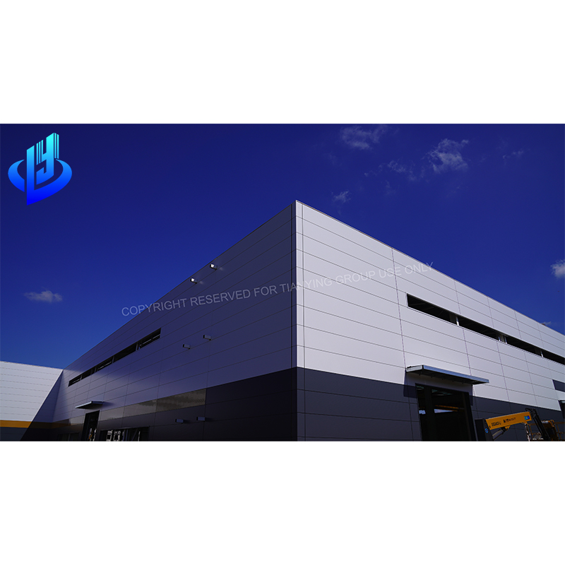 Visit foreign customers and visit steel structure buildings
