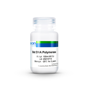 Bst-DNA-Polymerase