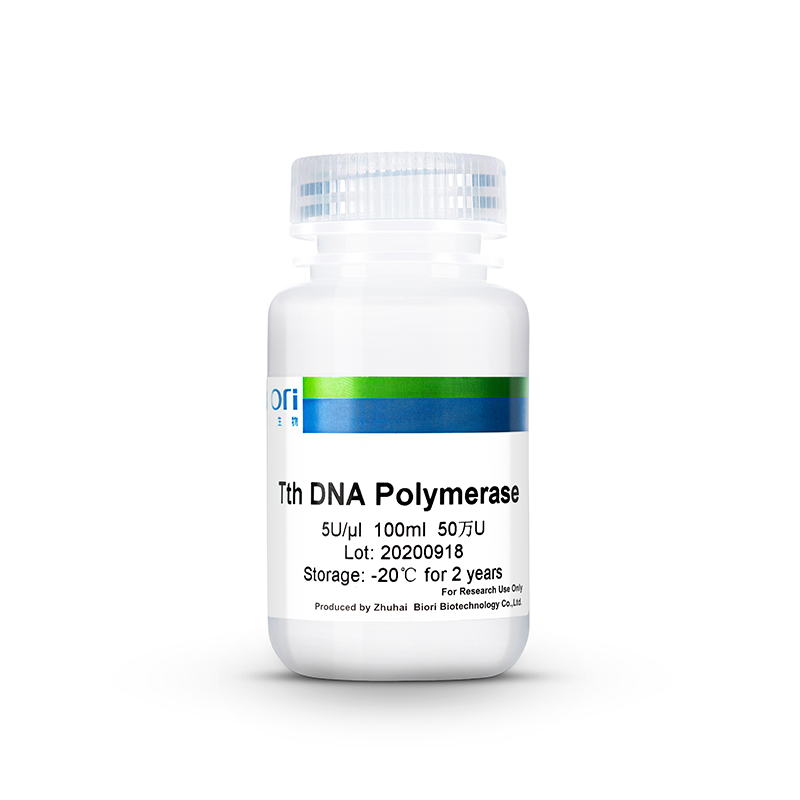 Kaufen Tth-DNA-Polymerase;Tth-DNA-Polymerase Preis;Tth-DNA-Polymerase Marken;Tth-DNA-Polymerase Hersteller;Tth-DNA-Polymerase Zitat;Tth-DNA-Polymerase Unternehmen
