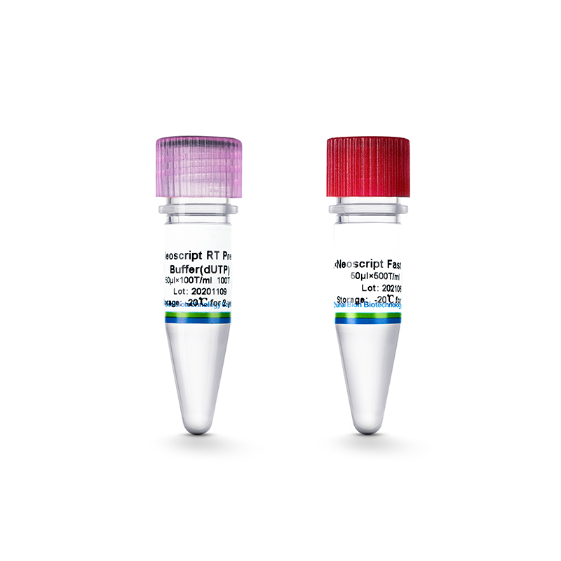 Neoscript RT Premix（Probe qRT-PCR）