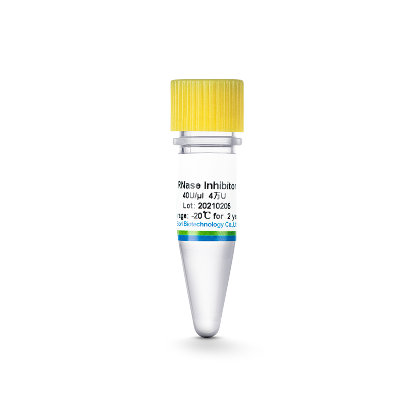 Inibidor de RNase (AS05)