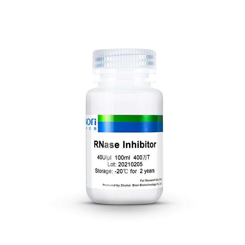 Kaufen RNase-Inhibitor (AS05);RNase-Inhibitor (AS05) Preis;RNase-Inhibitor (AS05) Marken;RNase-Inhibitor (AS05) Hersteller;RNase-Inhibitor (AS05) Zitat;RNase-Inhibitor (AS05) Unternehmen