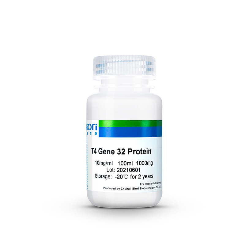 Kaufen T4-Gen-32-Protein;T4-Gen-32-Protein Preis;T4-Gen-32-Protein Marken;T4-Gen-32-Protein Hersteller;T4-Gen-32-Protein Zitat;T4-Gen-32-Protein Unternehmen
