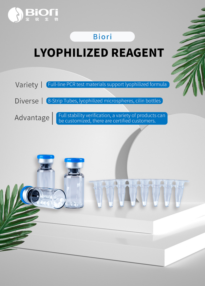 What are the customized products of professional molecular diagnostic lyophilized reagents?