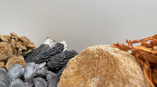 Você já viu cogumelos secos de alta qualidade?