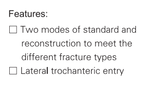 titanium intramedullary nail