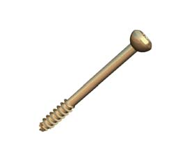 hollow screw