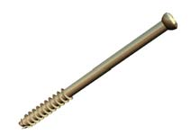 hollow screw